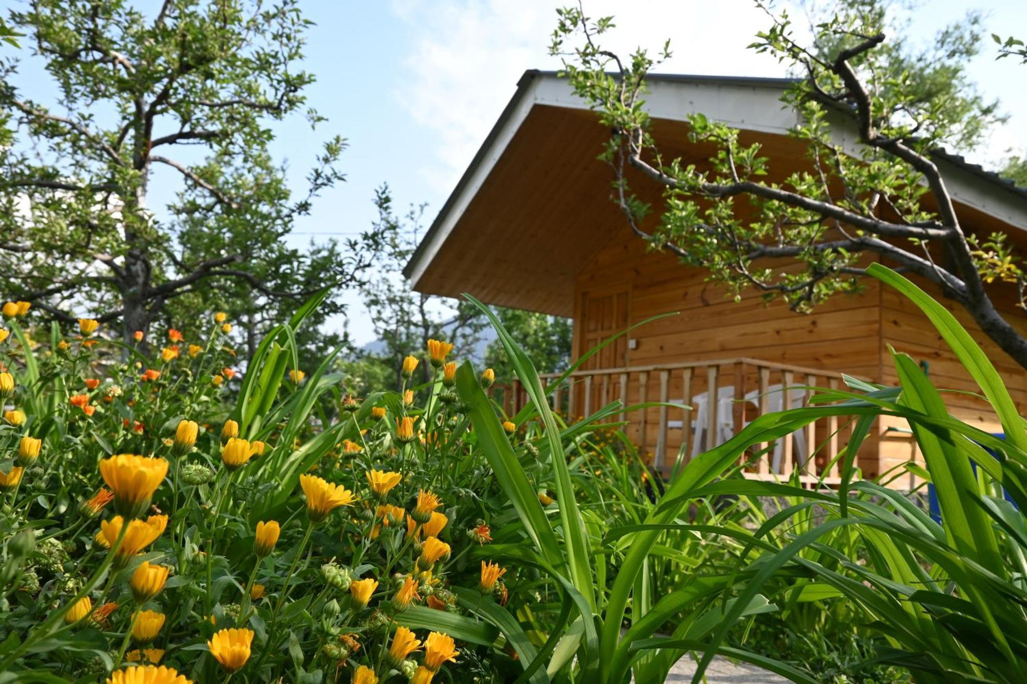 Cascade Mountain Retreat Manali Bed & Breakfast Bagian luar foto