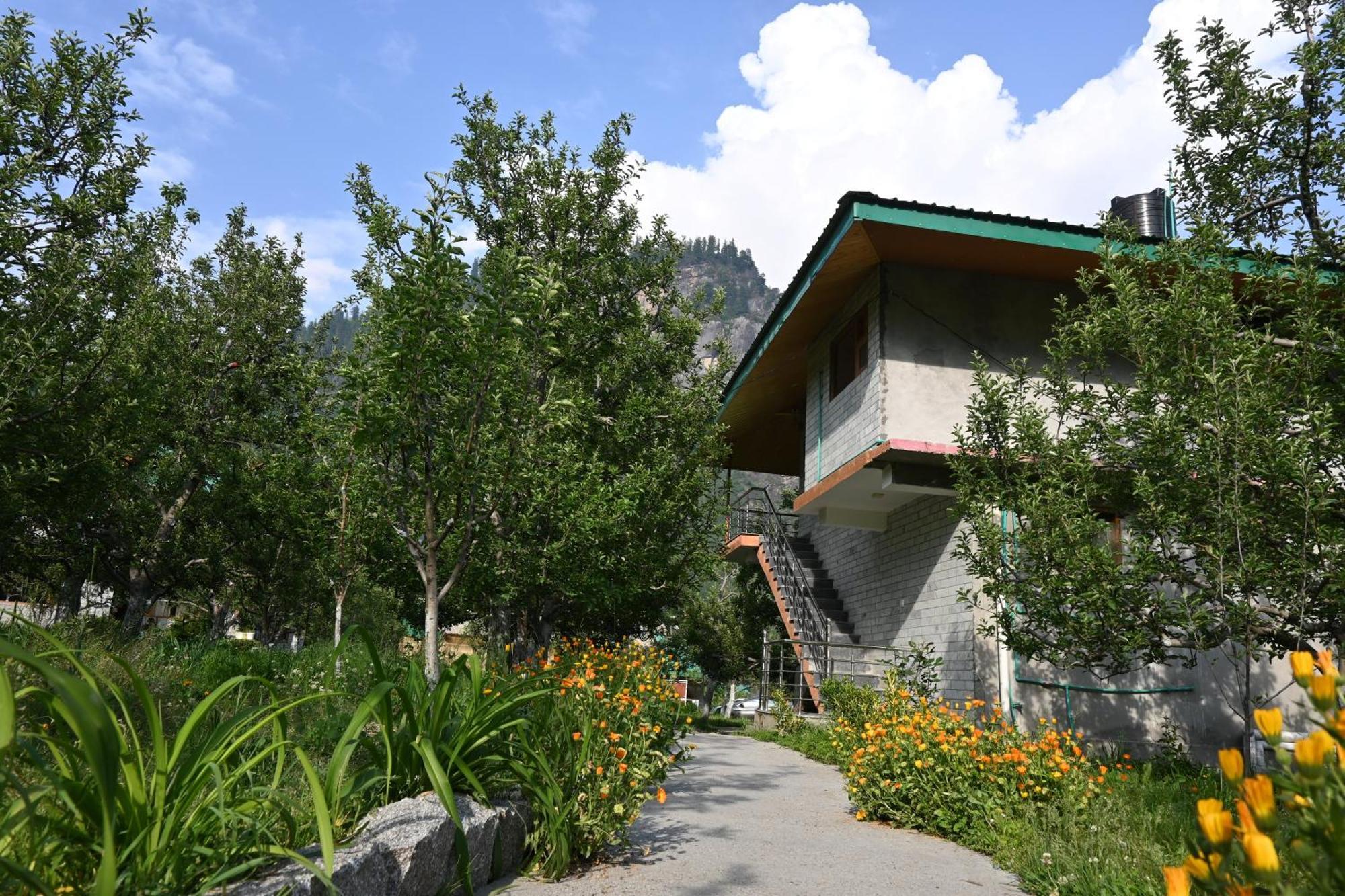 Cascade Mountain Retreat Manali Bed & Breakfast Bagian luar foto
