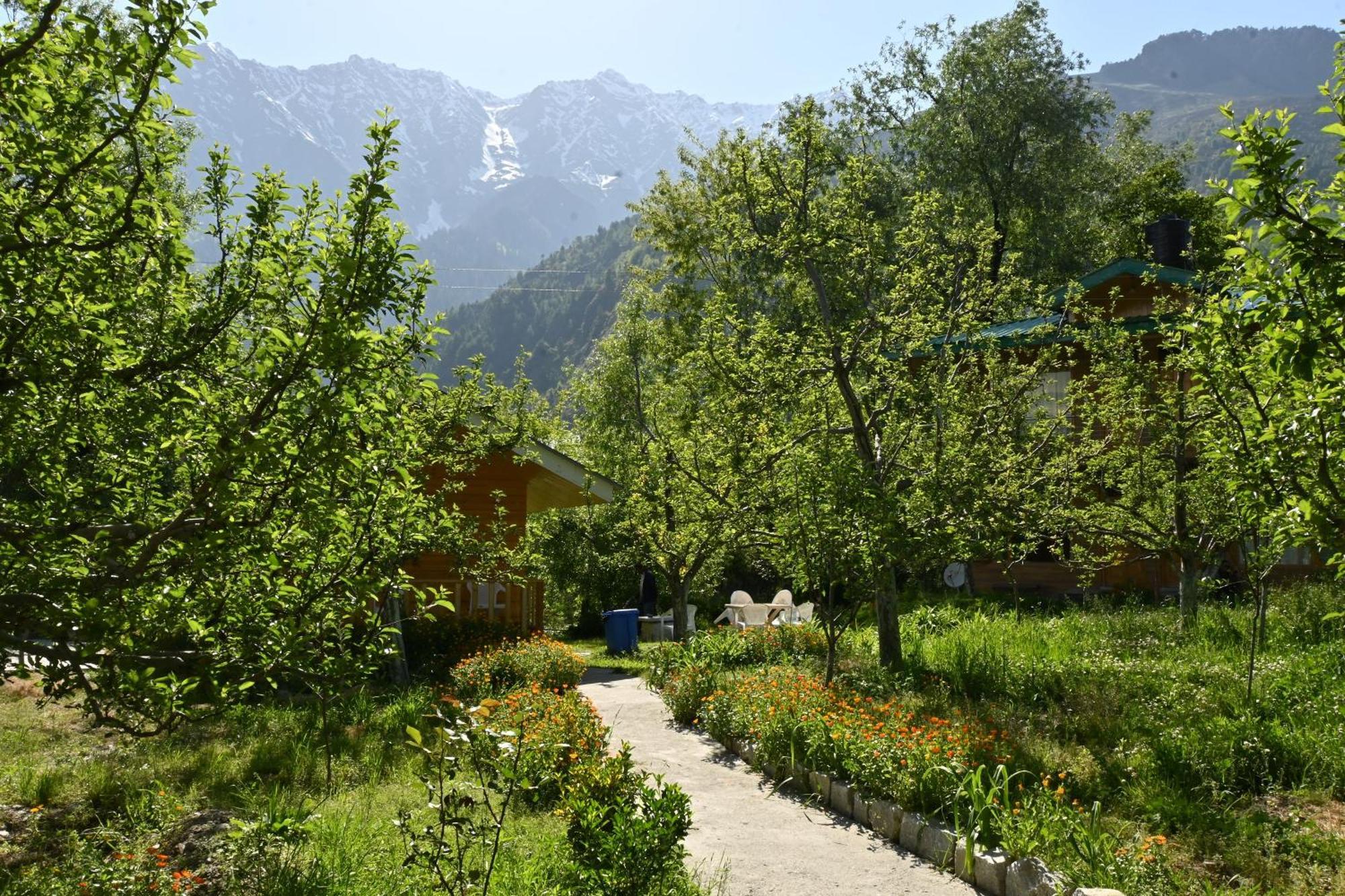 Cascade Mountain Retreat Manali Bed & Breakfast Bagian luar foto