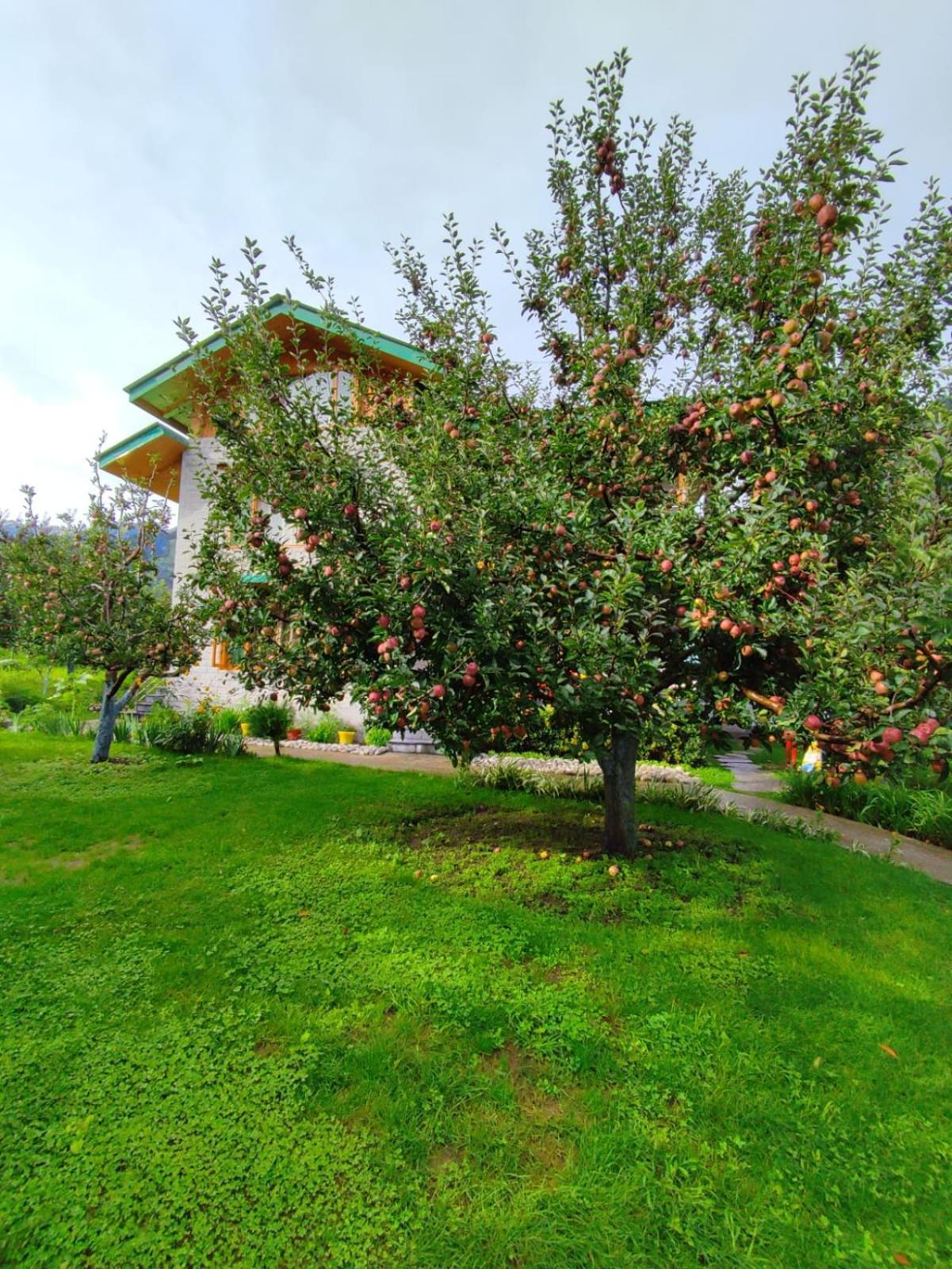 Cascade Mountain Retreat Manali Bed & Breakfast Bagian luar foto