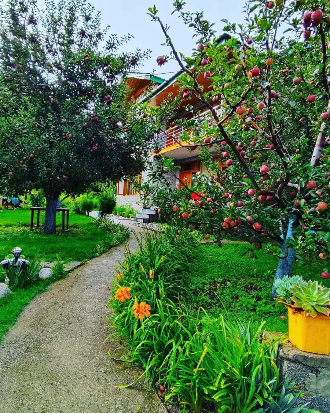 Cascade Mountain Retreat Manali Bed & Breakfast Bagian luar foto